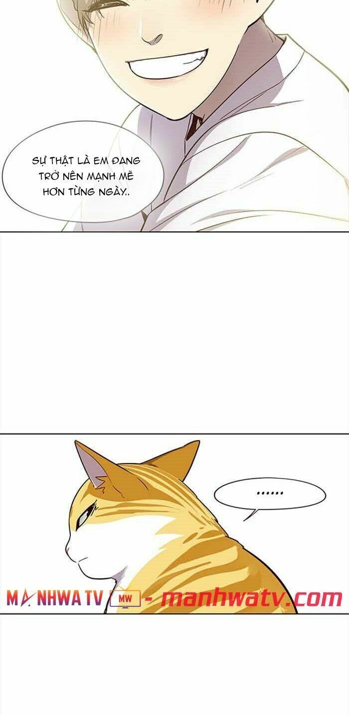 đọc truyện Hóa Thân Thành Mèo Chương 23 ảnh 44 tại Thiên Thai Truyện