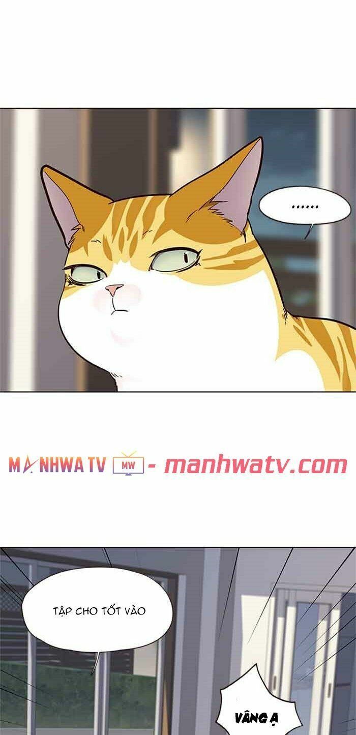 đọc truyện Hóa Thân Thành Mèo Chương 23 ảnh 48 tại Thiên Thai Truyện