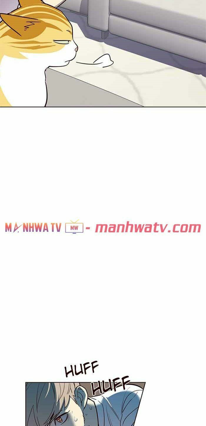 đọc truyện Hóa Thân Thành Mèo Chương 23 ảnh 50 tại Thiên Thai Truyện