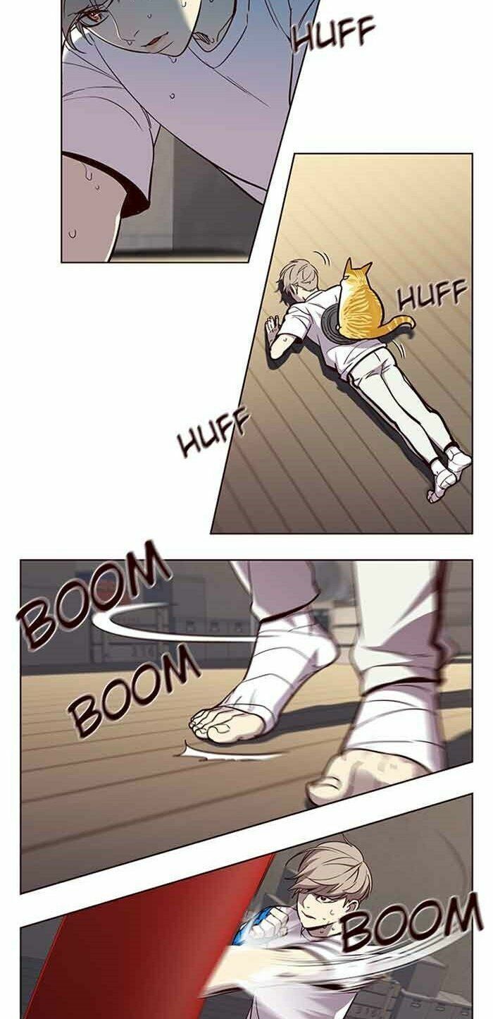 đọc truyện Hóa Thân Thành Mèo Chương 23 ảnh 51 tại Thiên Thai Truyện