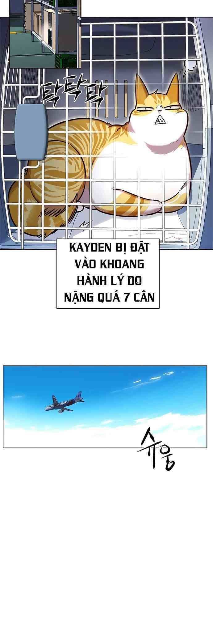 đọc truyện Hóa Thân Thành Mèo Chương 231 ảnh 23 tại Thiên Thai Truyện