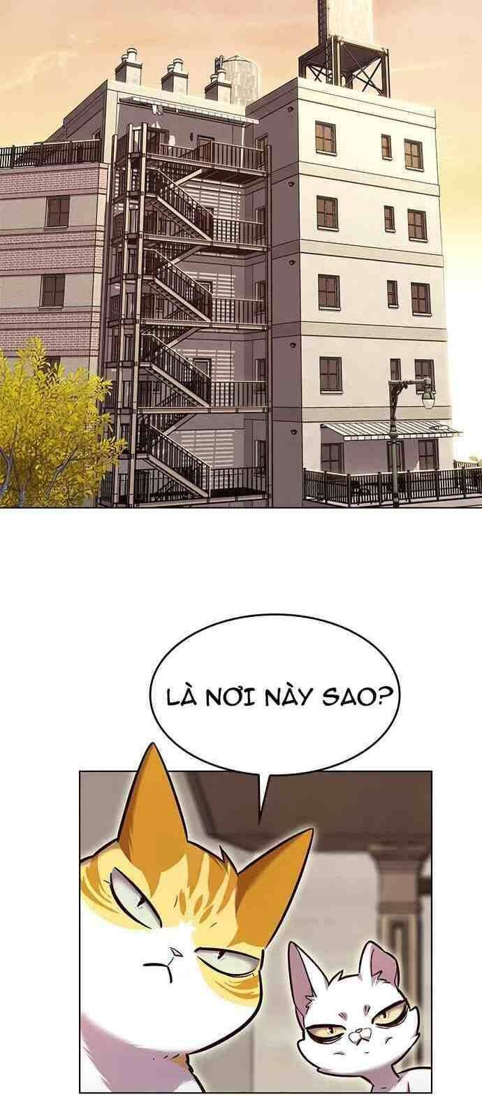 đọc truyện Hóa Thân Thành Mèo Chương 231 ảnh 25 tại Thiên Thai Truyện