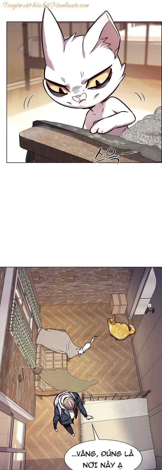 đọc truyện Hóa Thân Thành Mèo Chương 231 ảnh 37 tại Thiên Thai Truyện