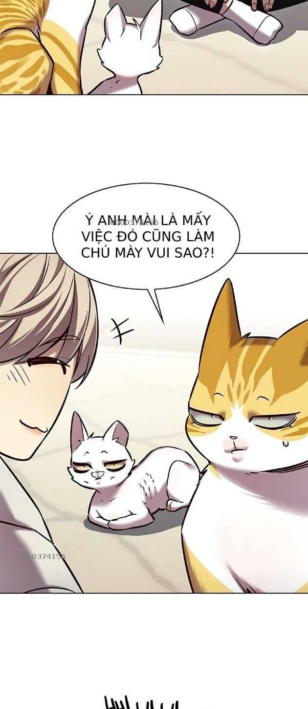 đọc truyện Hóa Thân Thành Mèo Chương 239 ảnh 17 tại Thiên Thai Truyện