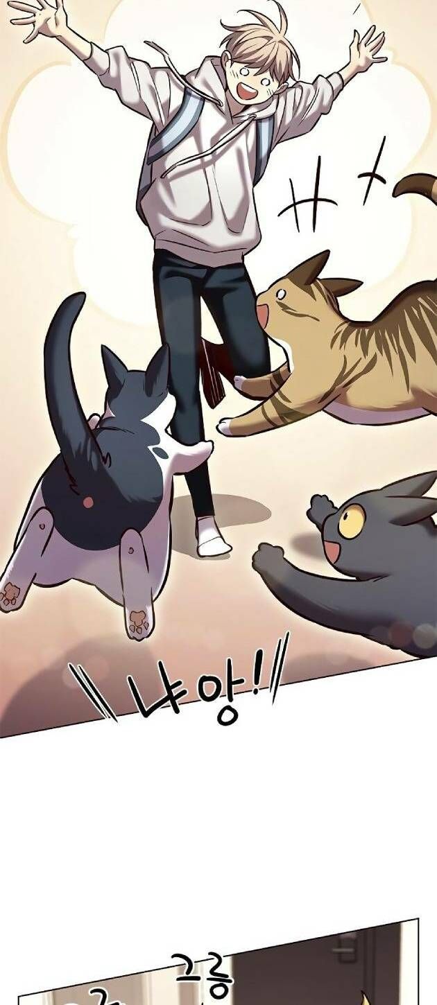 đọc truyện Hóa Thân Thành Mèo Chương 239 ảnh 4 tại Thiên Thai Truyện