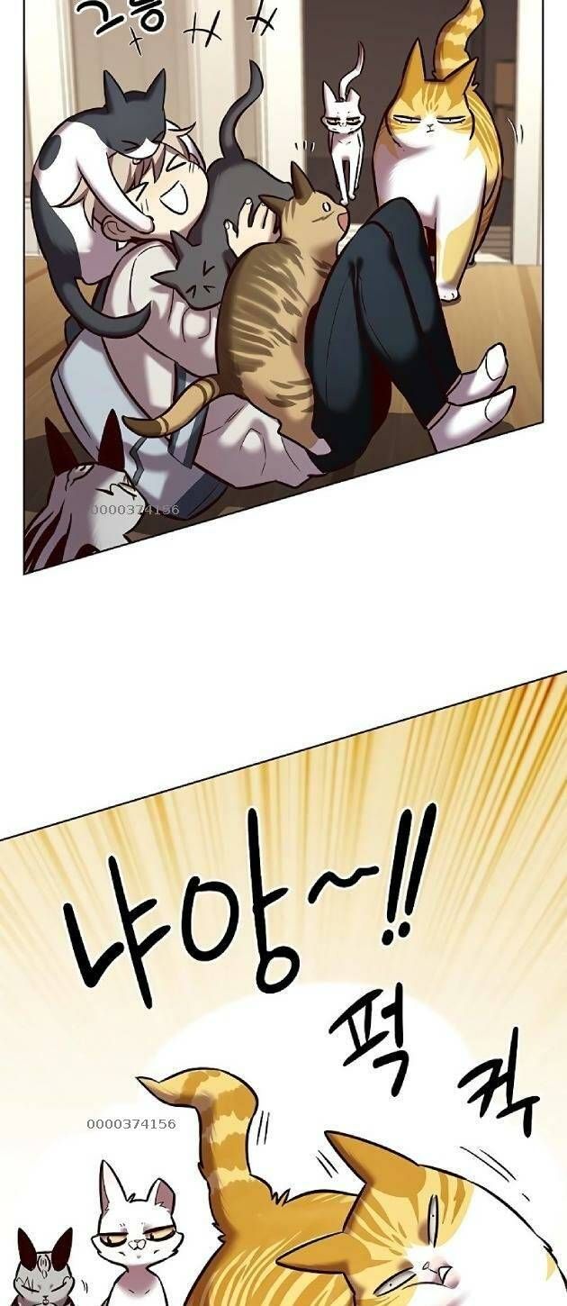 đọc truyện Hóa Thân Thành Mèo Chương 239 ảnh 5 tại Thiên Thai Truyện