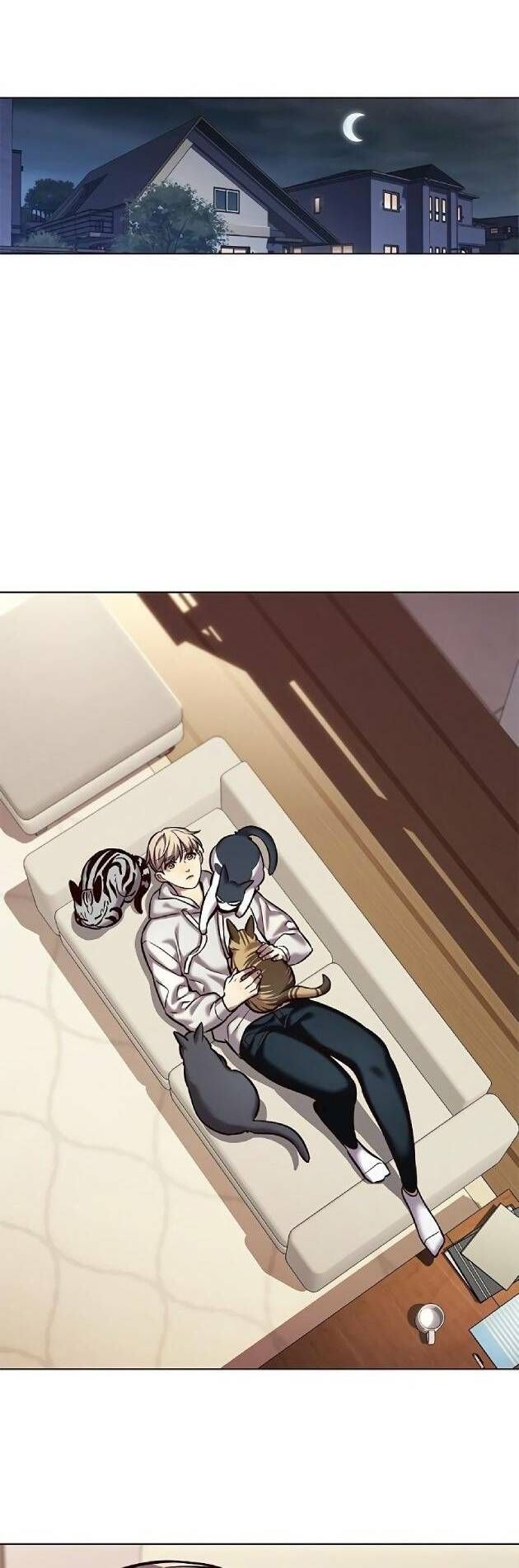 đọc truyện Hóa Thân Thành Mèo Chương 239 ảnh 32 tại Thiên Thai Truyện