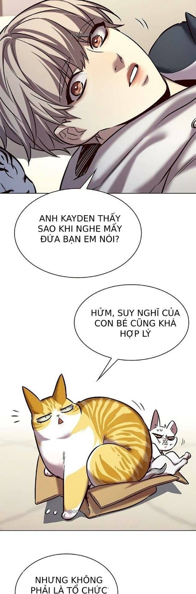 đọc truyện Hóa Thân Thành Mèo Chương 239 ảnh 33 tại Thiên Thai Truyện