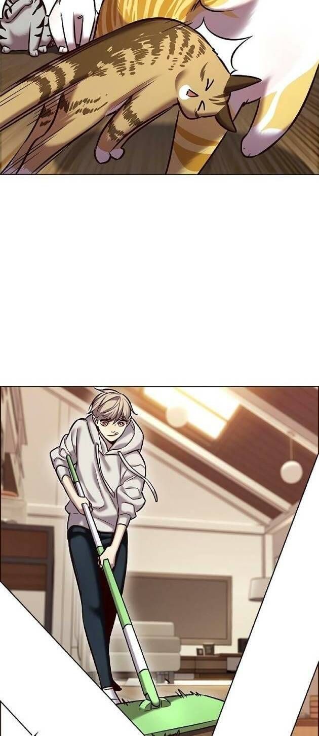 đọc truyện Hóa Thân Thành Mèo Chương 239 ảnh 6 tại Thiên Thai Truyện