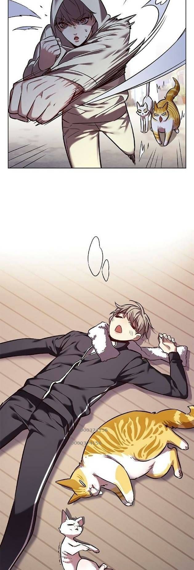 đọc truyện Hóa Thân Thành Mèo Chương 239 ảnh 51 tại Thiên Thai Truyện