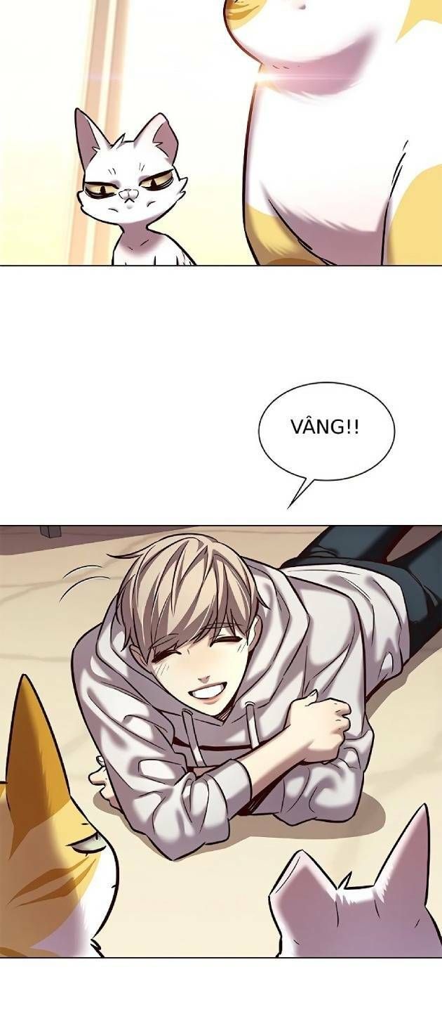 đọc truyện Hóa Thân Thành Mèo Chương 239 ảnh 9 tại Thiên Thai Truyện