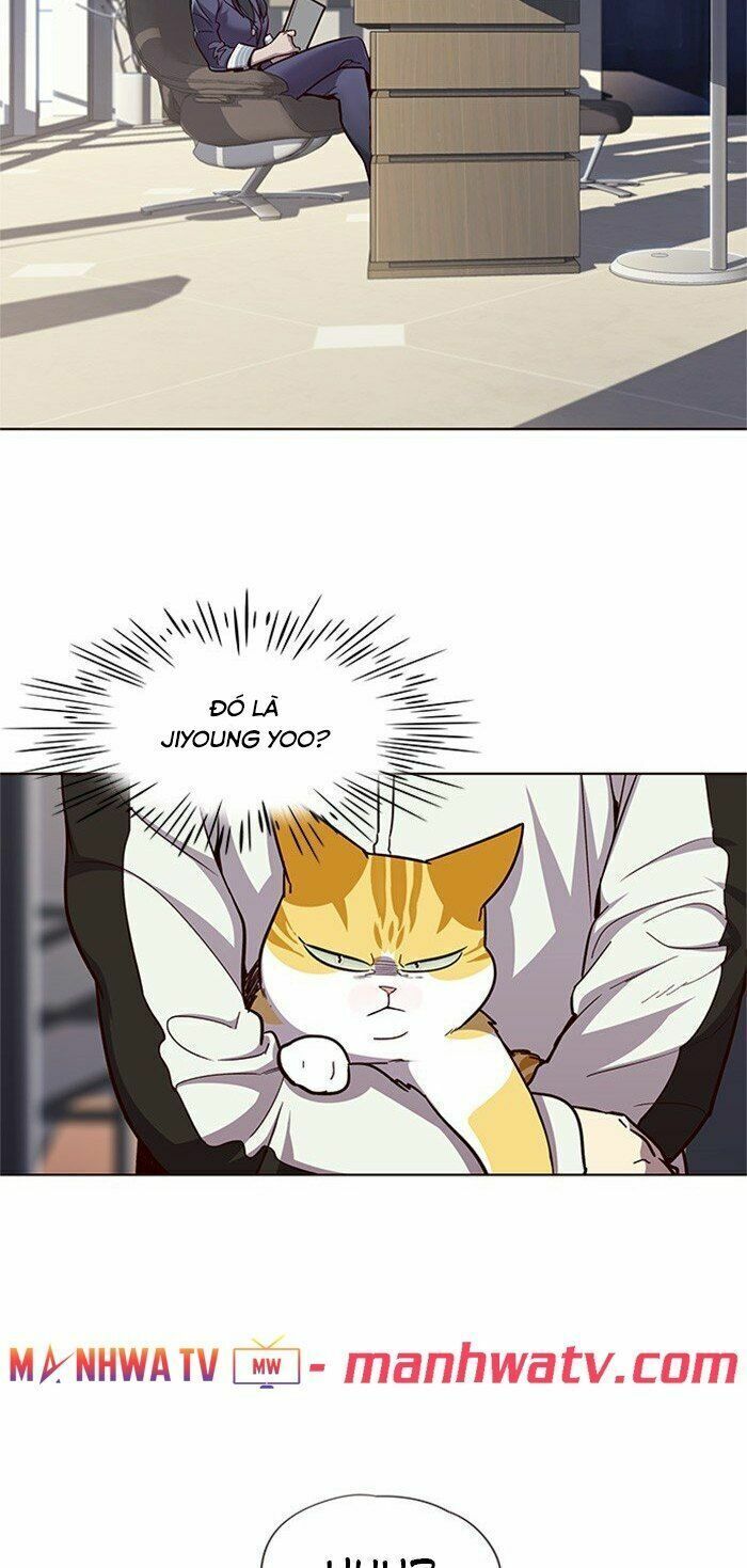 đọc truyện Hóa Thân Thành Mèo Chương 24 ảnh 16 tại Thiên Thai Truyện