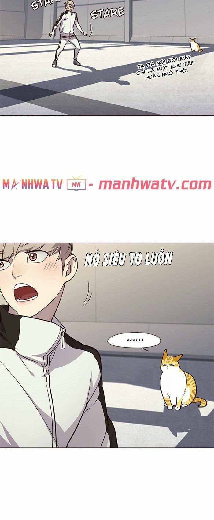 đọc truyện Hóa Thân Thành Mèo Chương 24 ảnh 37 tại Thiên Thai Truyện