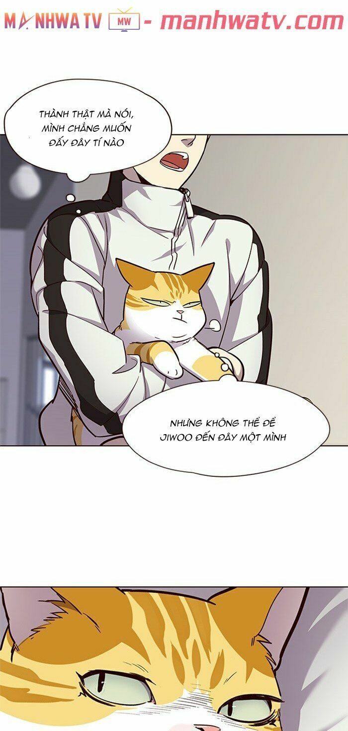 đọc truyện Hóa Thân Thành Mèo Chương 24 ảnh 9 tại Thiên Thai Truyện