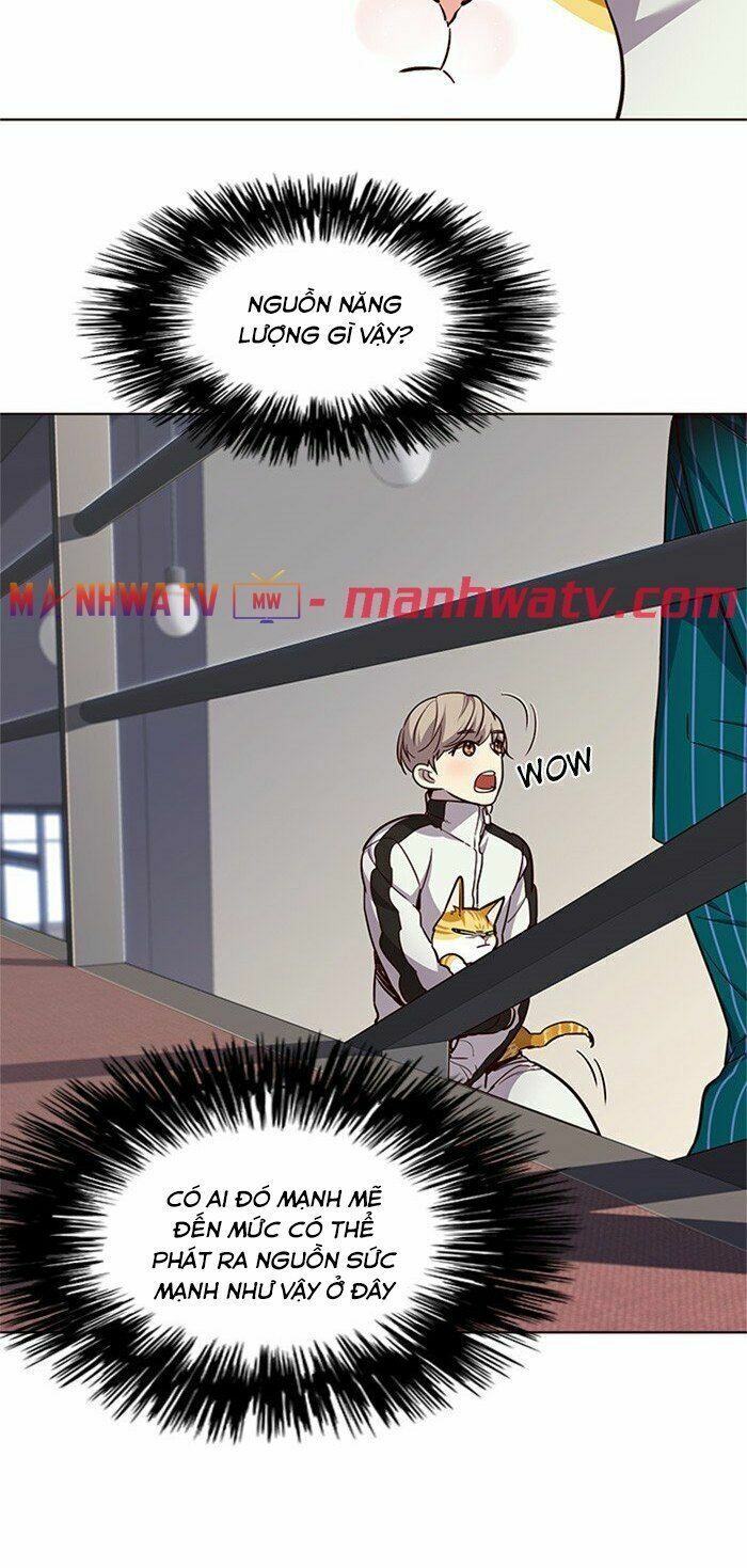 đọc truyện Hóa Thân Thành Mèo Chương 24 ảnh 10 tại Thiên Thai Truyện