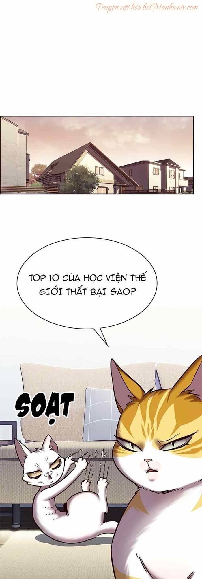 đọc truyện Hóa Thân Thành Mèo Chương 240 ảnh 37 tại Thiên Thai Truyện