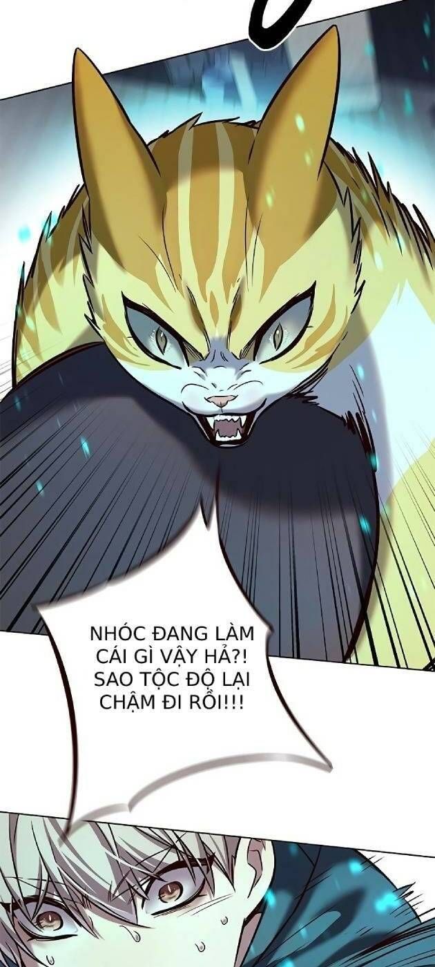 đọc truyện Hóa Thân Thành Mèo Chương 241.1 ảnh 14 tại Thiên Thai Truyện