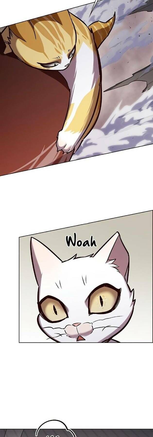 đọc truyện Hóa Thân Thành Mèo Chương 241.1 ảnh 26 tại Thiên Thai Truyện