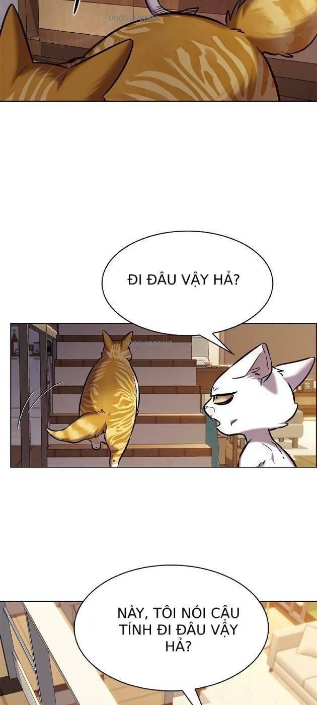 đọc truyện Hóa Thân Thành Mèo Chương 241.1 ảnh 61 tại Thiên Thai Truyện