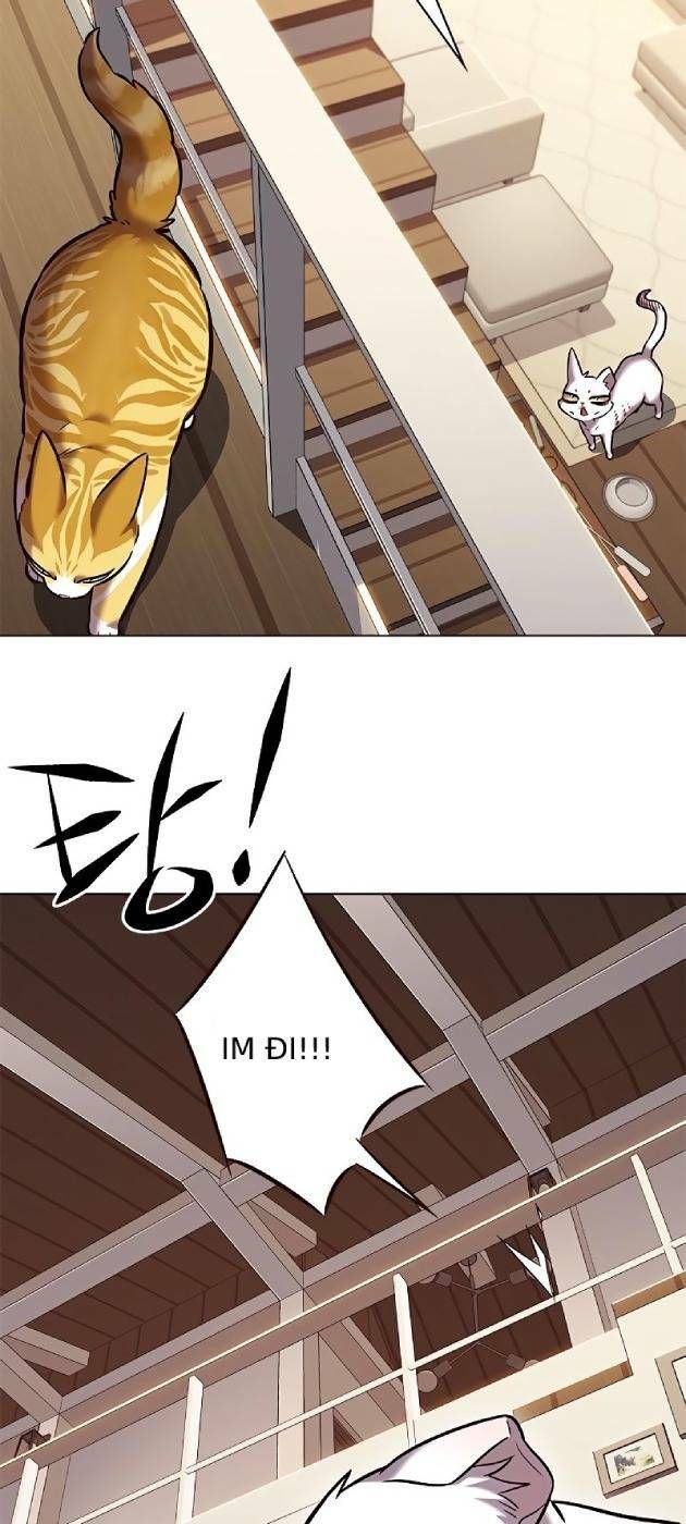 đọc truyện Hóa Thân Thành Mèo Chương 241.1 ảnh 62 tại Thiên Thai Truyện