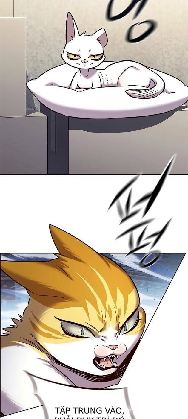 đọc truyện Hóa Thân Thành Mèo Chương 241.1 ảnh 11 tại Thiên Thai Truyện