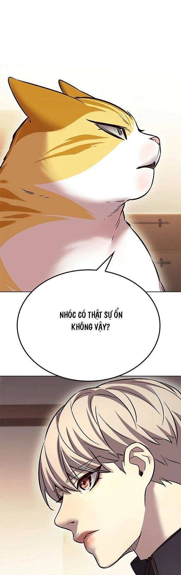 đọc truyện Hóa Thân Thành Mèo Chương 242 ảnh 46 tại Thiên Thai Truyện