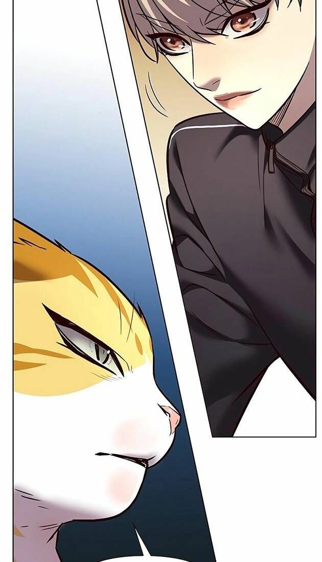 đọc truyện Hóa Thân Thành Mèo Chương 242 ảnh 48 tại Thiên Thai Truyện