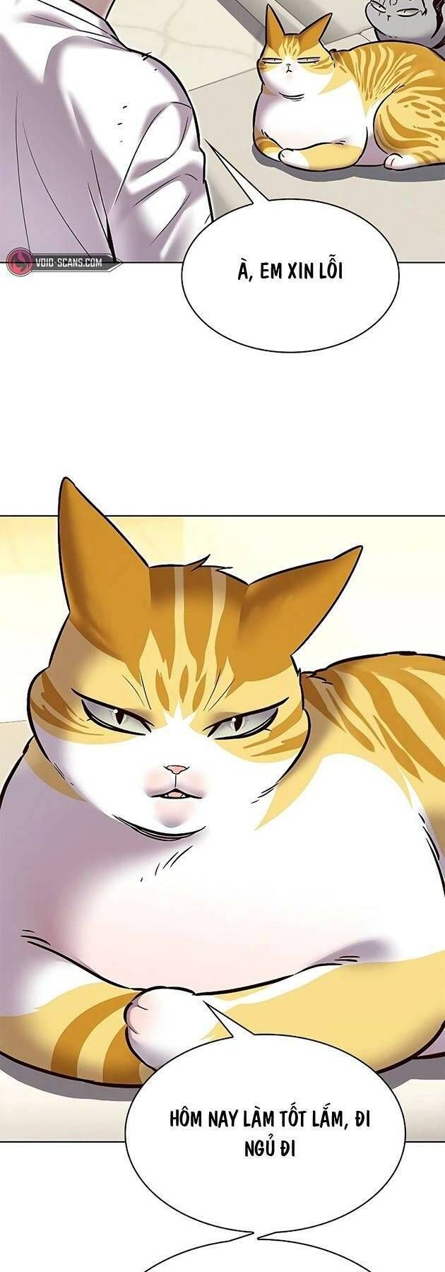 đọc truyện Hóa Thân Thành Mèo Chương 243 ảnh 62 tại Thiên Thai Truyện