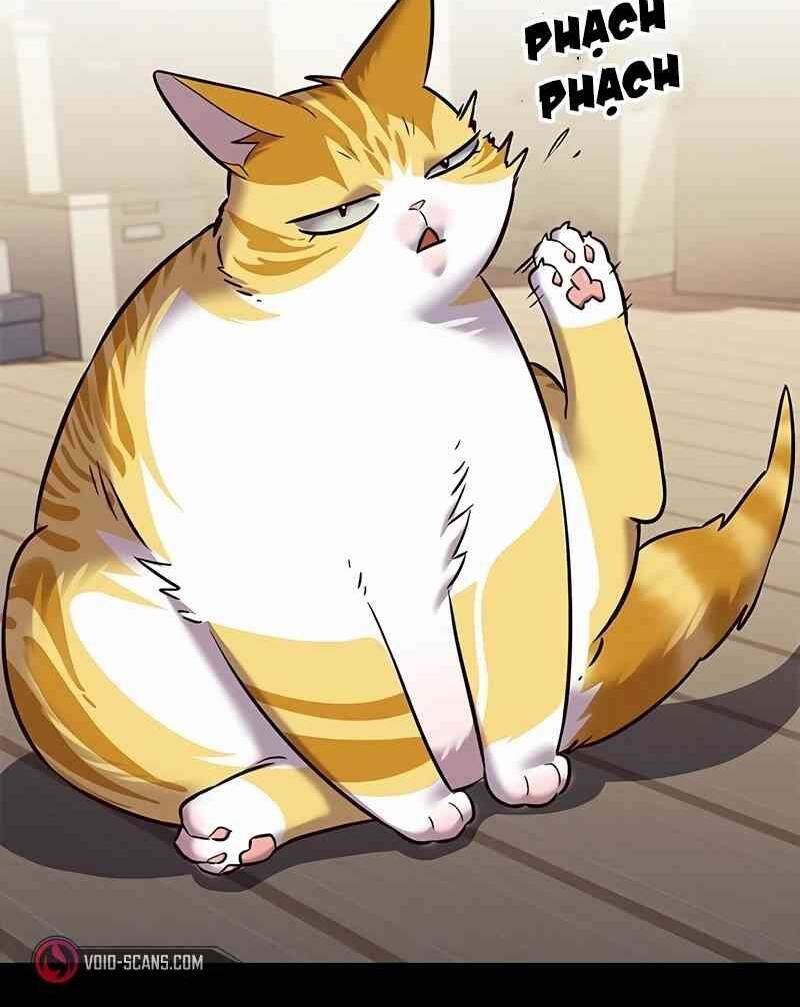 đọc truyện Hóa Thân Thành Mèo Chương 244.1 ảnh 16 tại Thiên Thai Truyện