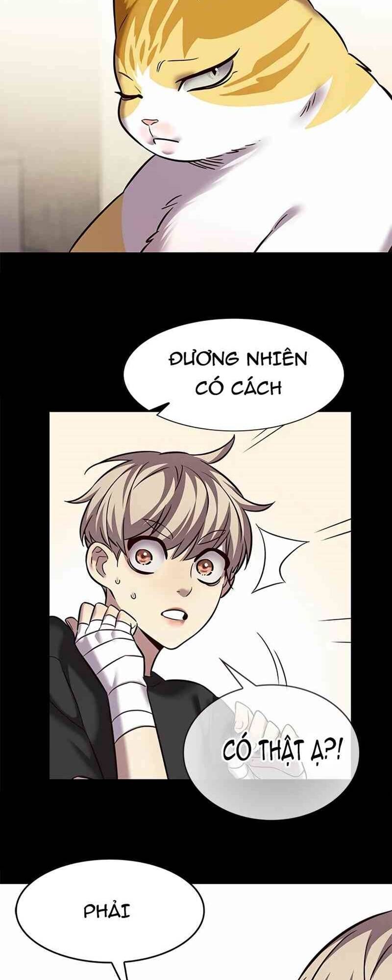 đọc truyện Hóa Thân Thành Mèo Chương 244.1 ảnh 19 tại Thiên Thai Truyện