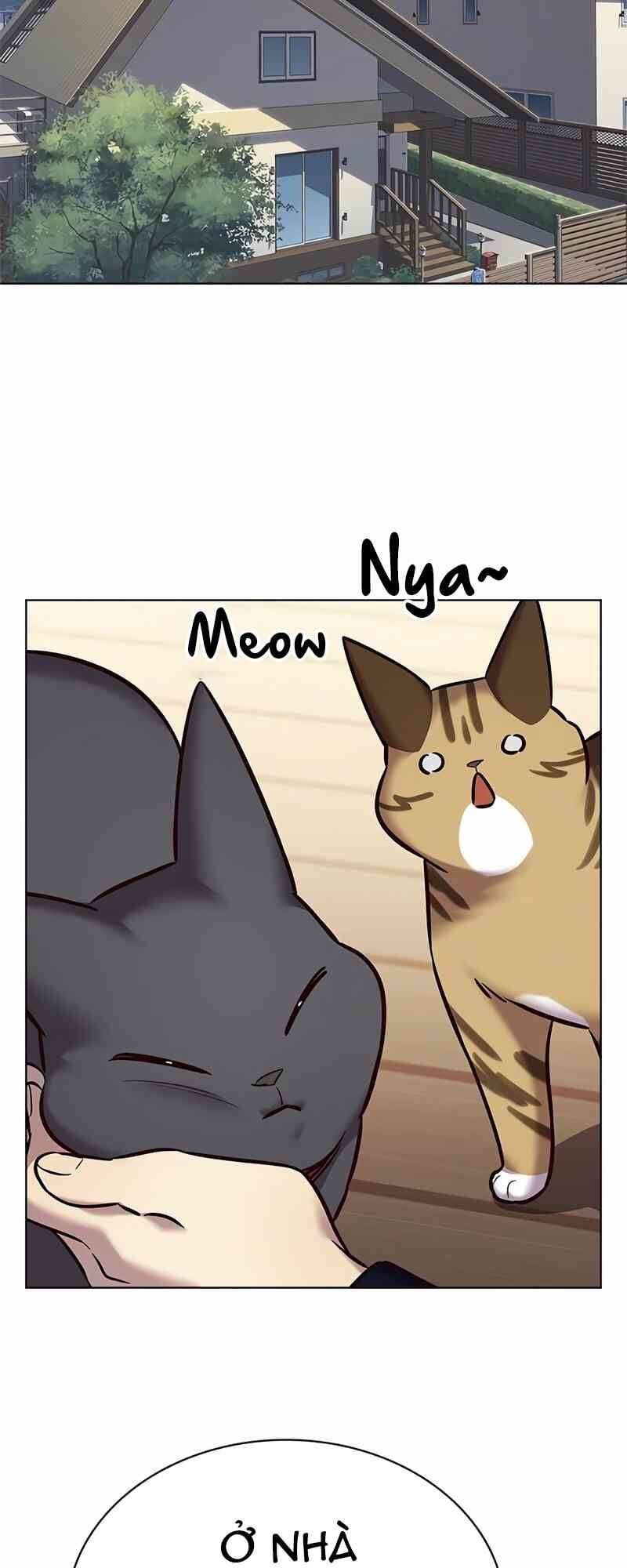 đọc truyện Hóa Thân Thành Mèo Chương 244.1 ảnh 43 tại Thiên Thai Truyện