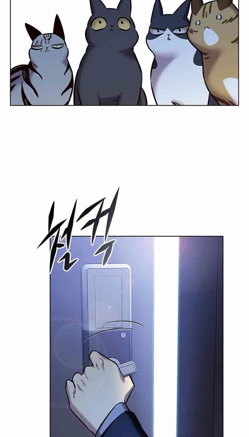 đọc truyện Hóa Thân Thành Mèo Chương 244.1 ảnh 45 tại Thiên Thai Truyện