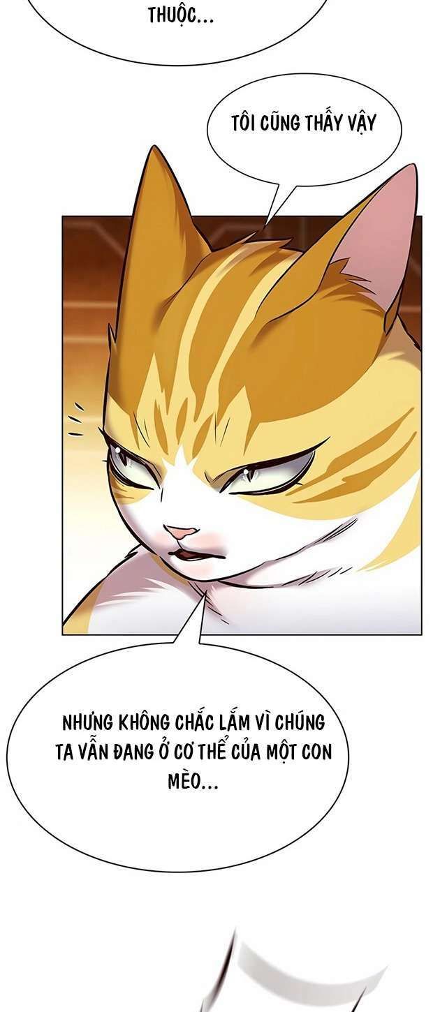 đọc truyện Hóa Thân Thành Mèo Chương 245 ảnh 48 tại Thiên Thai Truyện