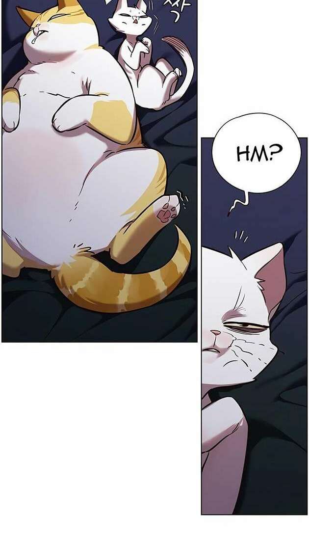 đọc truyện Hóa Thân Thành Mèo Chương 246.1 ảnh 61 tại Thiên Thai Truyện