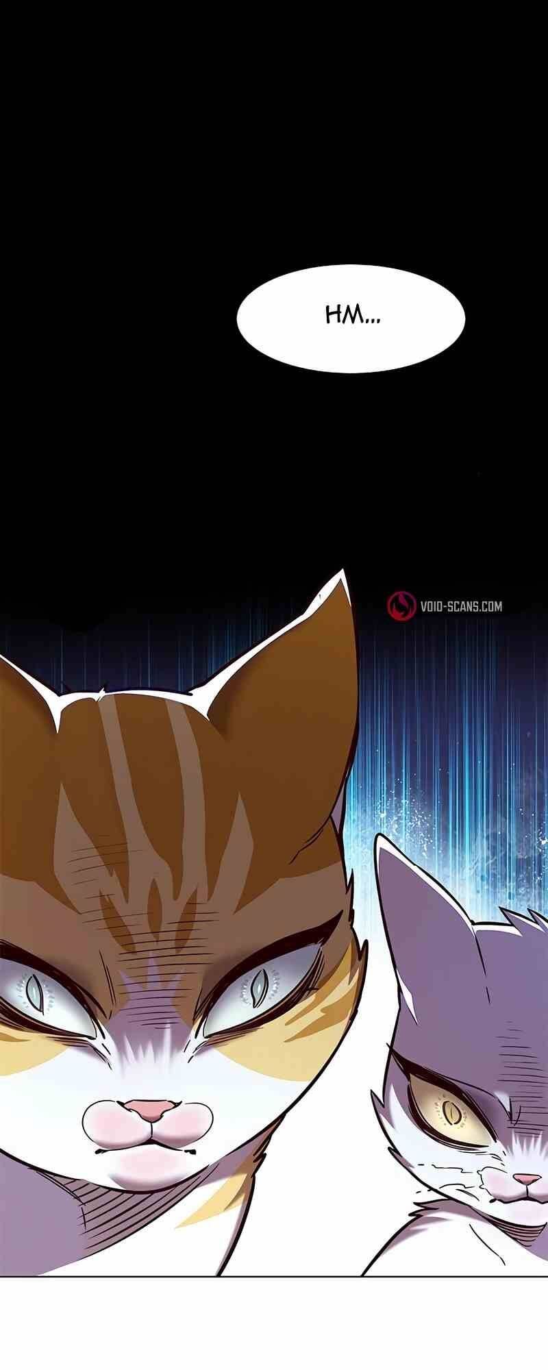 đọc truyện Hóa Thân Thành Mèo Chương 249.1 ảnh 11 tại Thiên Thai Truyện