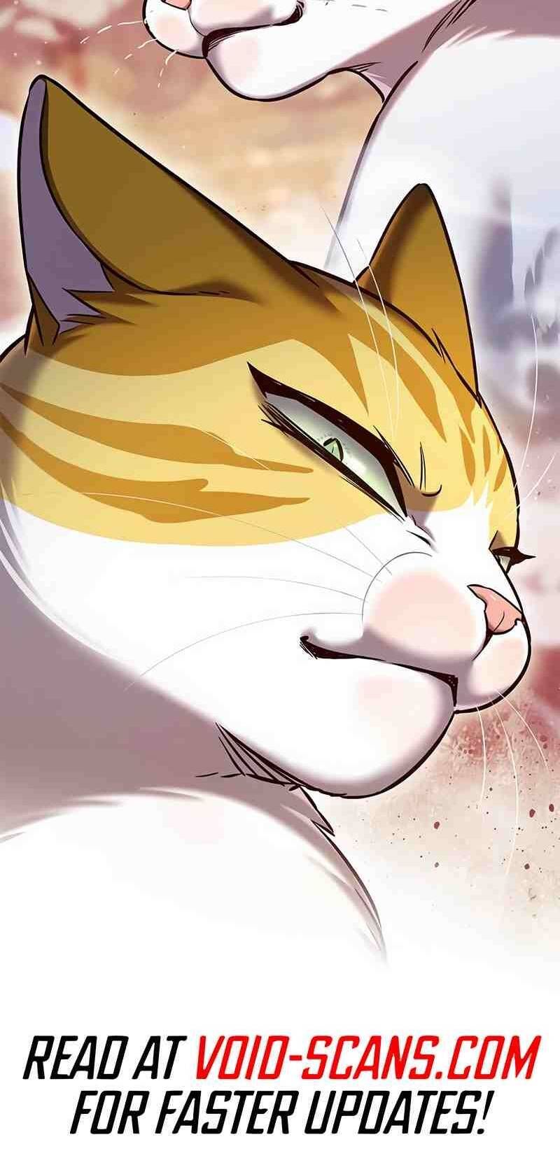 đọc truyện Hóa Thân Thành Mèo Chương 252 ảnh 71 tại Thiên Thai Truyện