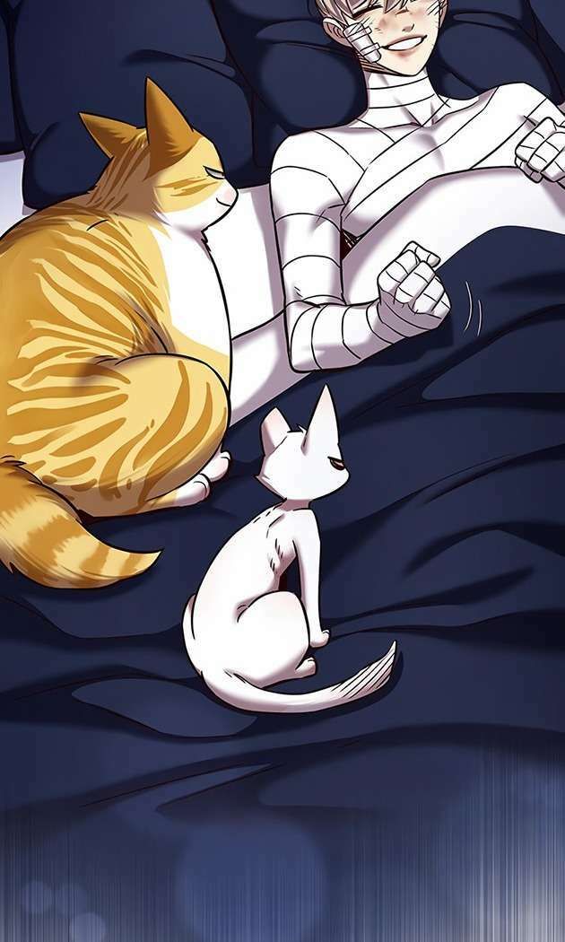 đọc truyện Hóa Thân Thành Mèo Chương 253.1 ảnh 73 tại Thiên Thai Truyện