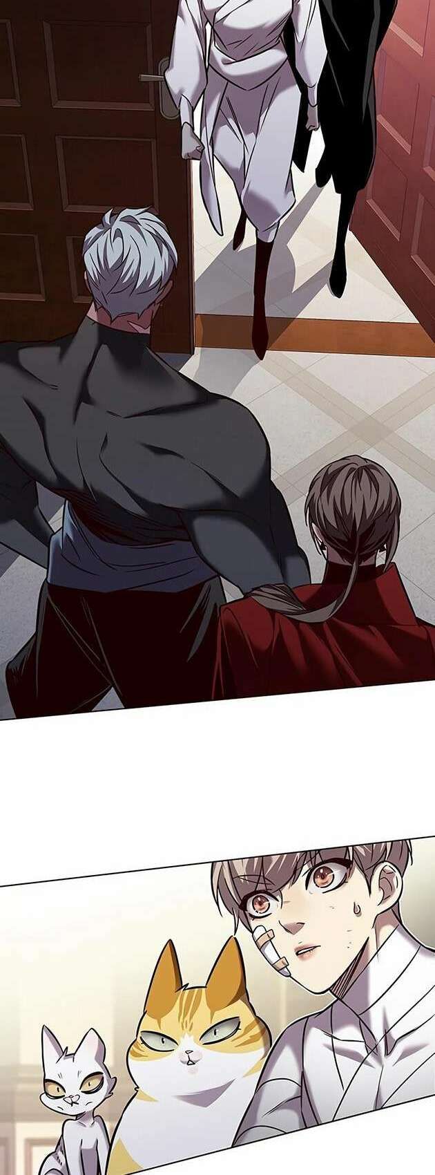 đọc truyện Hóa Thân Thành Mèo Chương 254 ảnh 37 tại Thiên Thai Truyện