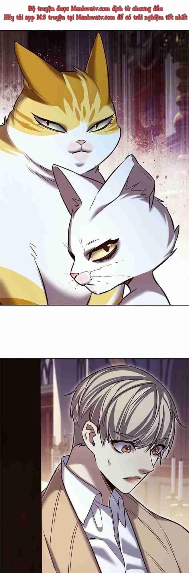 đọc truyện Hóa Thân Thành Mèo Chương 256.1 ảnh 33 tại Thiên Thai Truyện