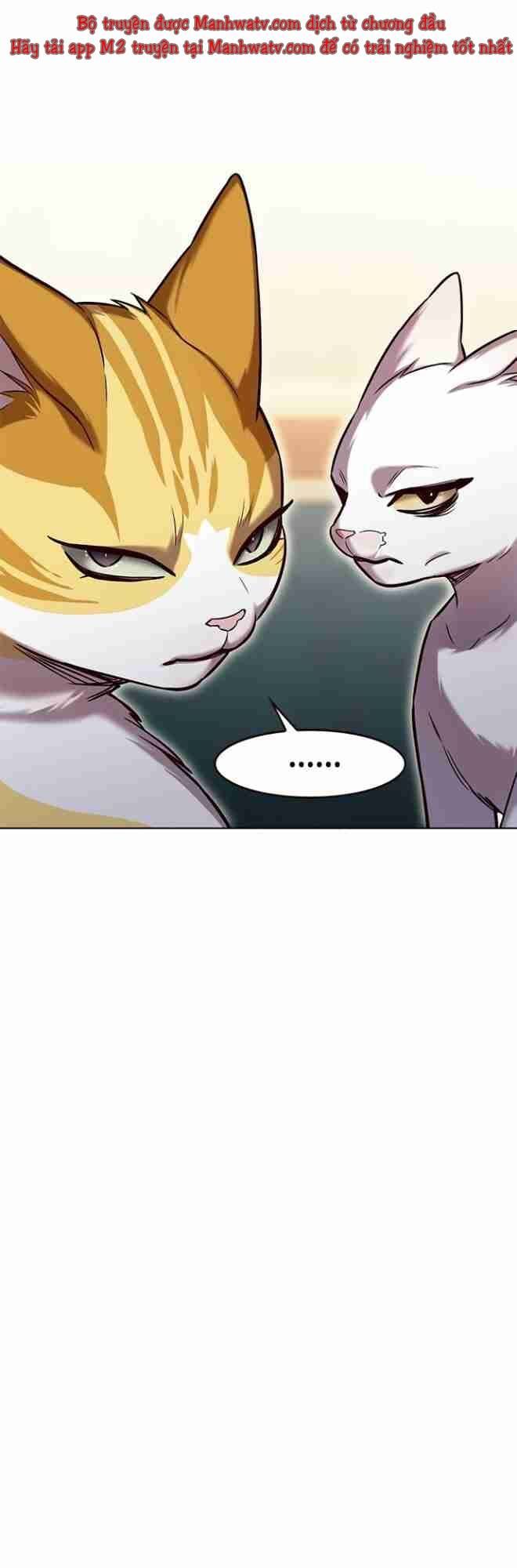 đọc truyện Hóa Thân Thành Mèo Chương 256.1 ảnh 48 tại Thiên Thai Truyện