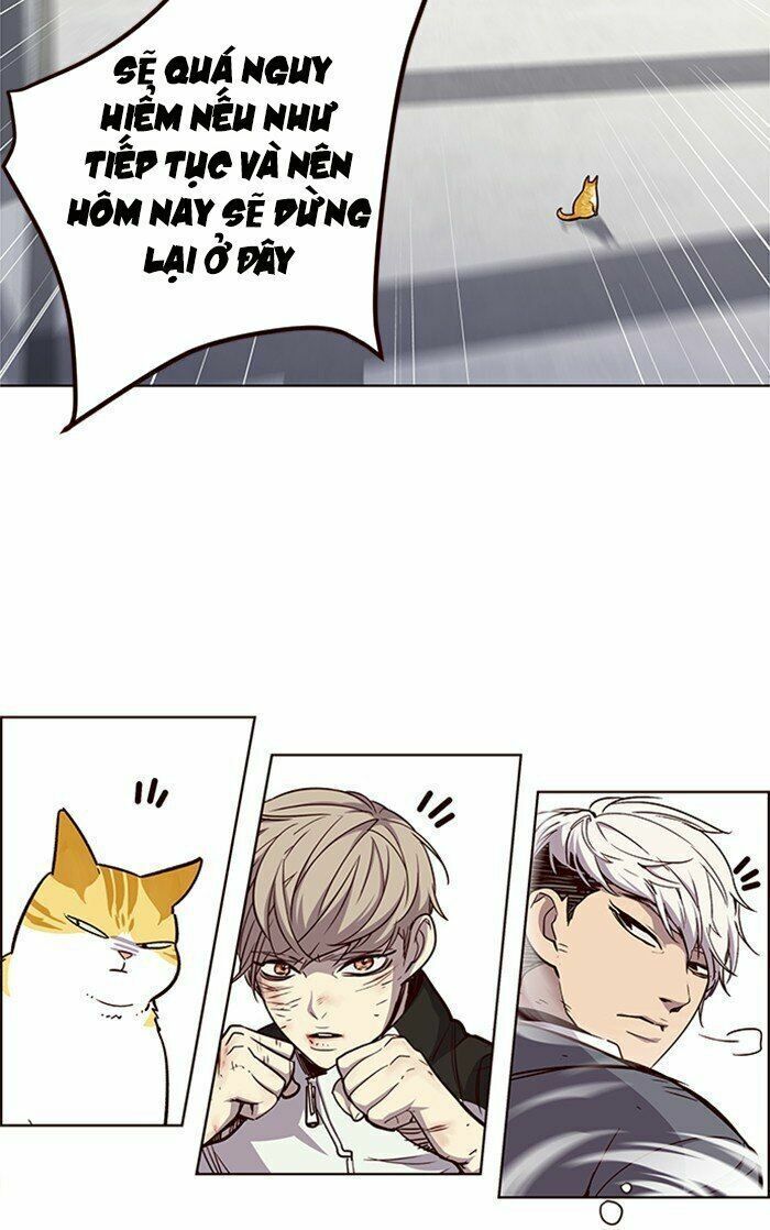 đọc truyện Hóa Thân Thành Mèo Chương 26 ảnh 21 tại Thiên Thai Truyện