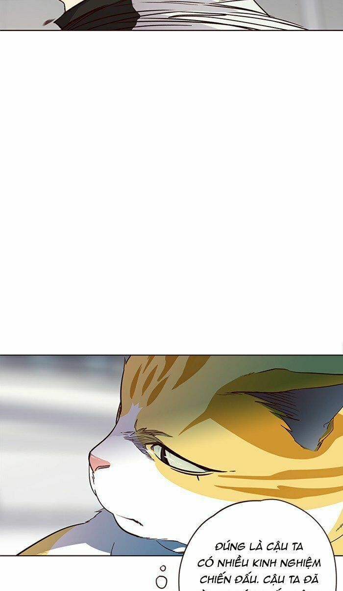 đọc truyện Hóa Thân Thành Mèo Chương 26 ảnh 65 tại Thiên Thai Truyện