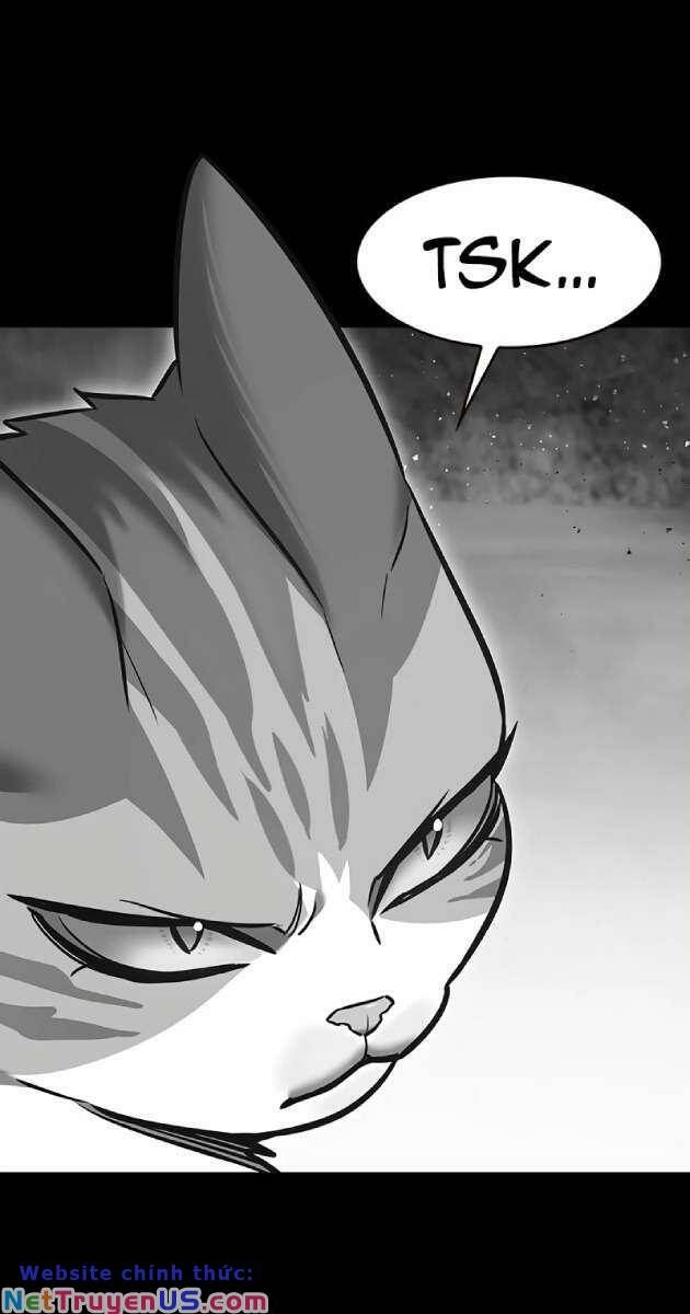 đọc truyện Hóa Thân Thành Mèo Chương 261 ảnh 8 tại Thiên Thai Truyện