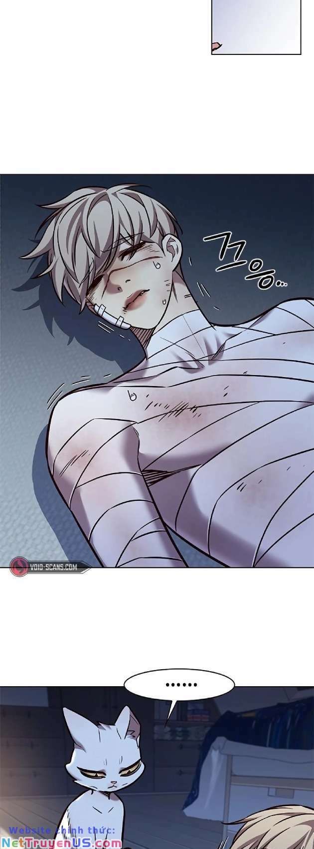 đọc truyện Hóa Thân Thành Mèo Chương 262 ảnh 56 tại Thiên Thai Truyện