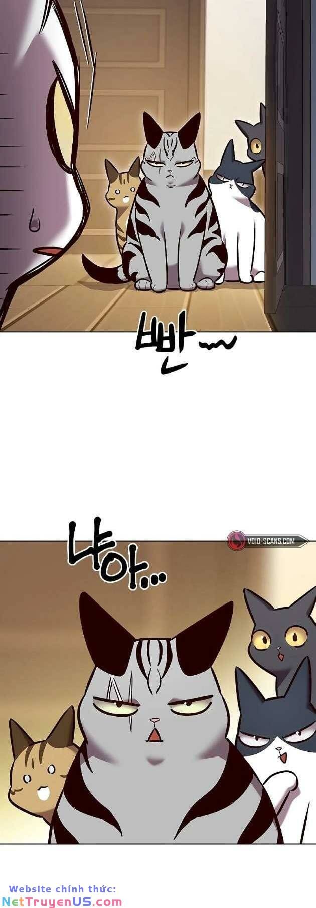 đọc truyện Hóa Thân Thành Mèo Chương 262 ảnh 61 tại Thiên Thai Truyện