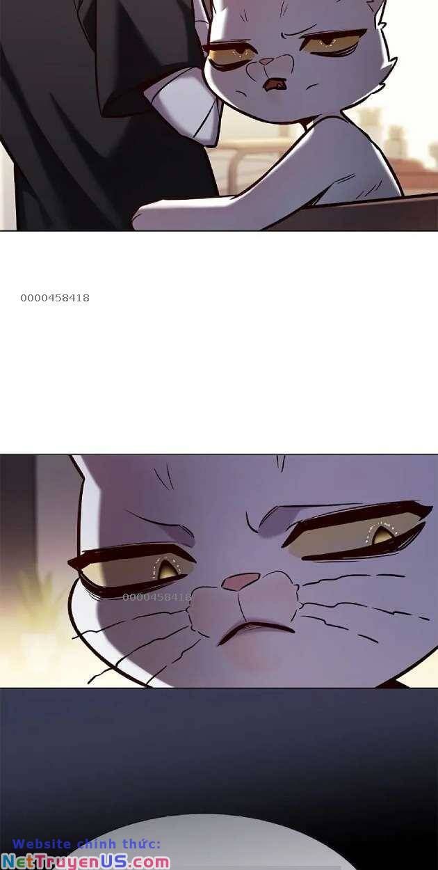 đọc truyện Hóa Thân Thành Mèo Chương 263 ảnh 17 tại Thiên Thai Truyện