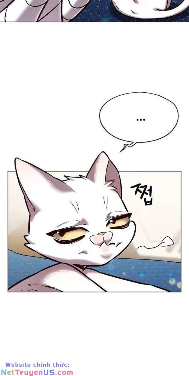 đọc truyện Hóa Thân Thành Mèo Chương 263 ảnh 8 tại Thiên Thai Truyện