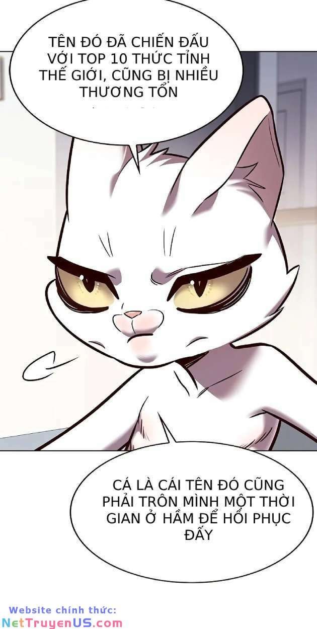 đọc truyện Hóa Thân Thành Mèo Chương 263 ảnh 11 tại Thiên Thai Truyện