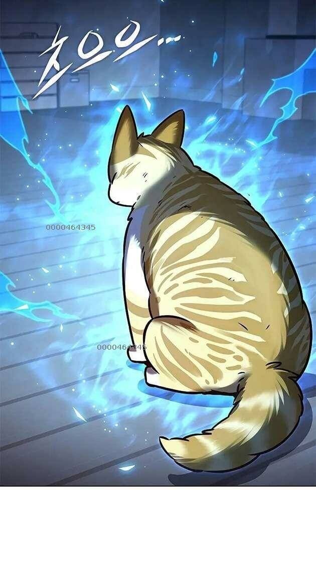 đọc truyện Hóa Thân Thành Mèo Chương 267 ảnh 5 tại Thiên Thai Truyện