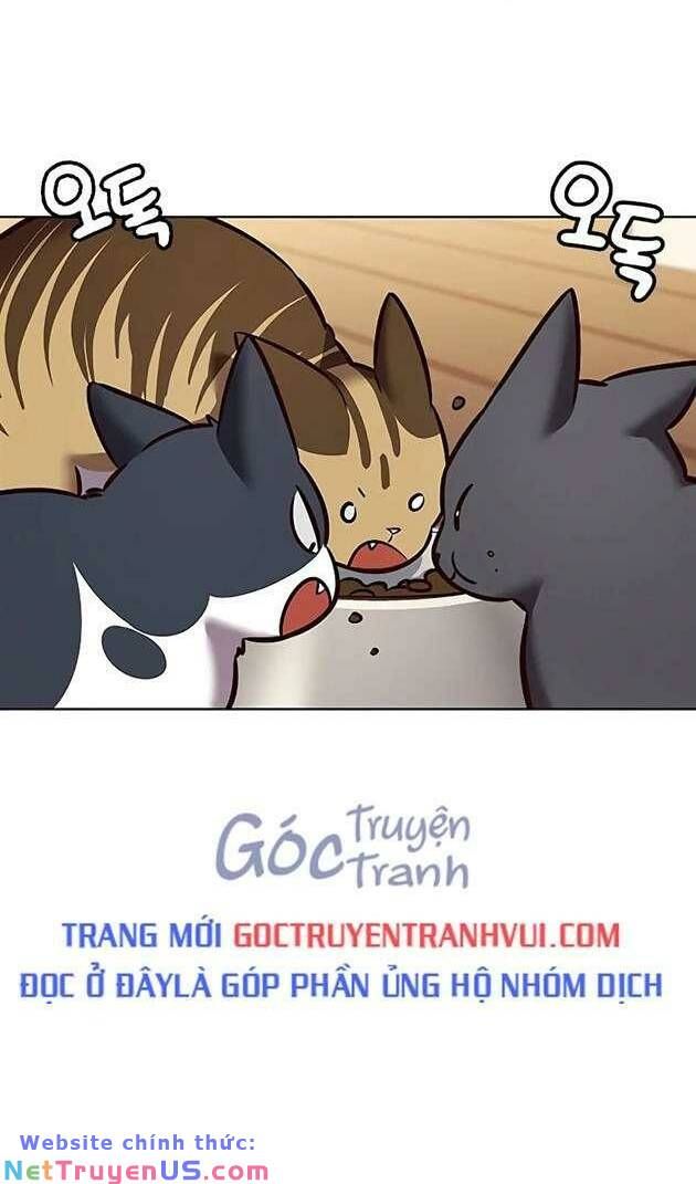 đọc truyện Hóa Thân Thành Mèo Chương 269 ảnh 43 tại Thiên Thai Truyện